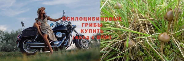 каннабис Заволжье