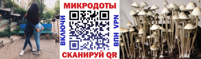 Псилоцибиновые грибы Cubensis  гидра зеркало  Полесск 